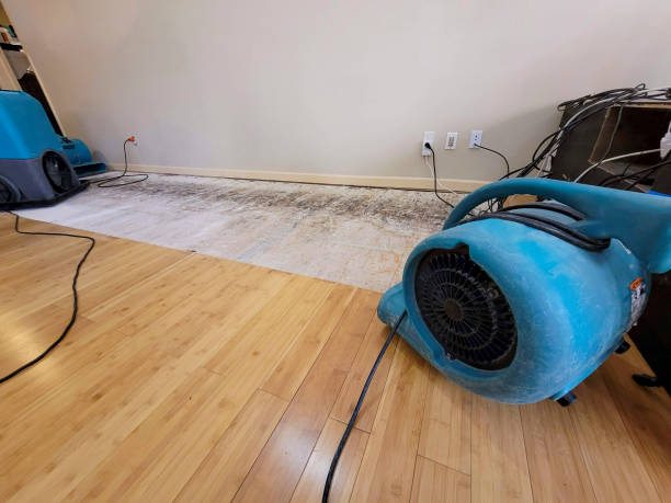 Professional Water Removal technician working in Camden, SC